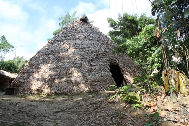 Image 13
